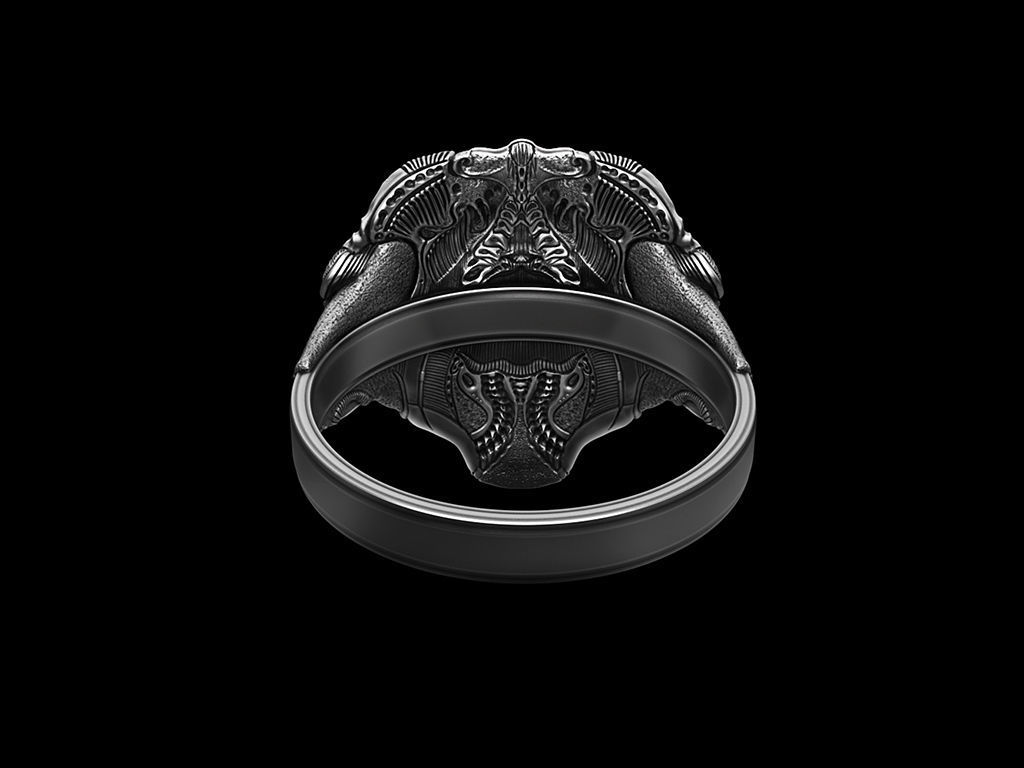 Ring Of Sheen Biomechanics Head 3D printing STL 3D print model  3D print model_3