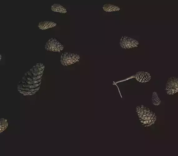 Pine Cone PBR Tillable Texture