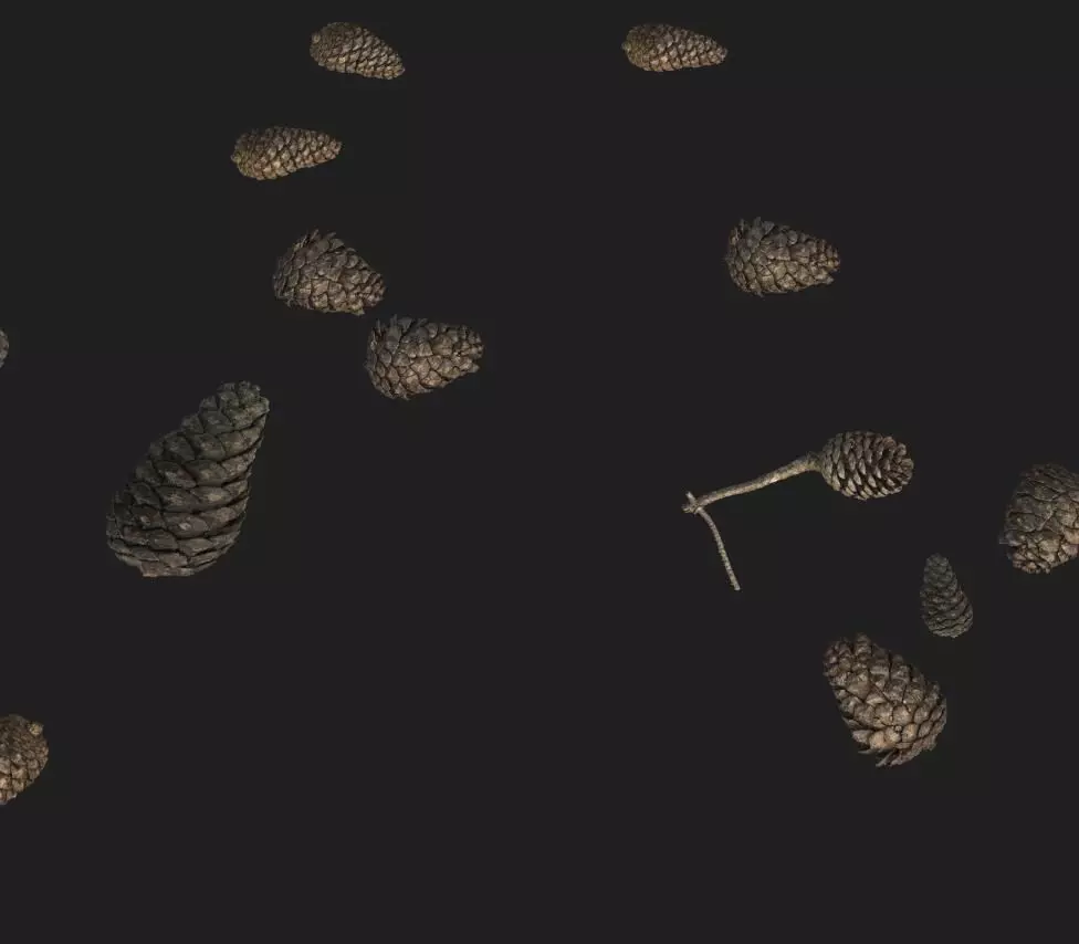 Pine Cone PBR Tillable Texture 3D model_0