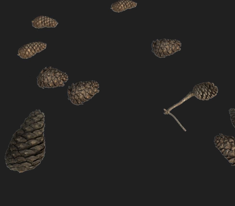 Pine Cone PBR Tillable Texture 3D model_2