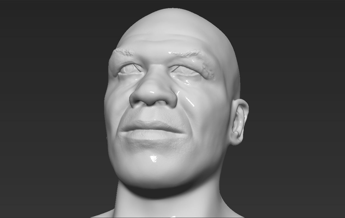 Famous Boxers busts for 3D printing 3D Model Collection_20