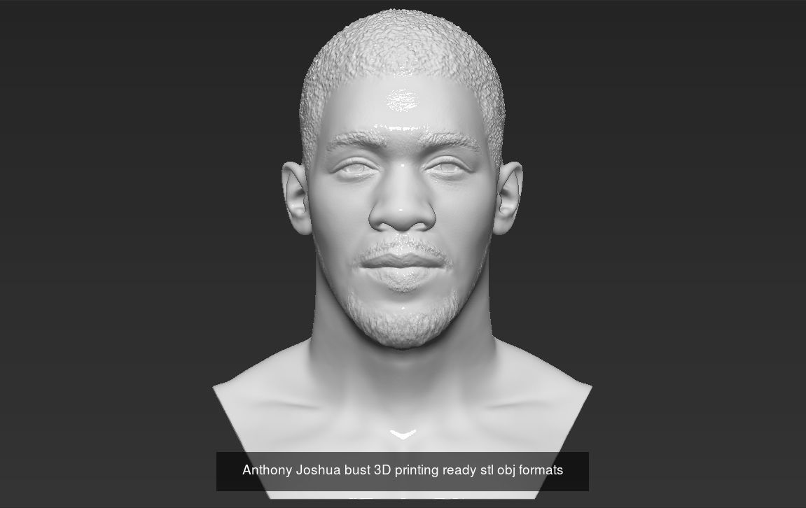 Famous Boxers busts for 3D printing 3D Model Collection_4