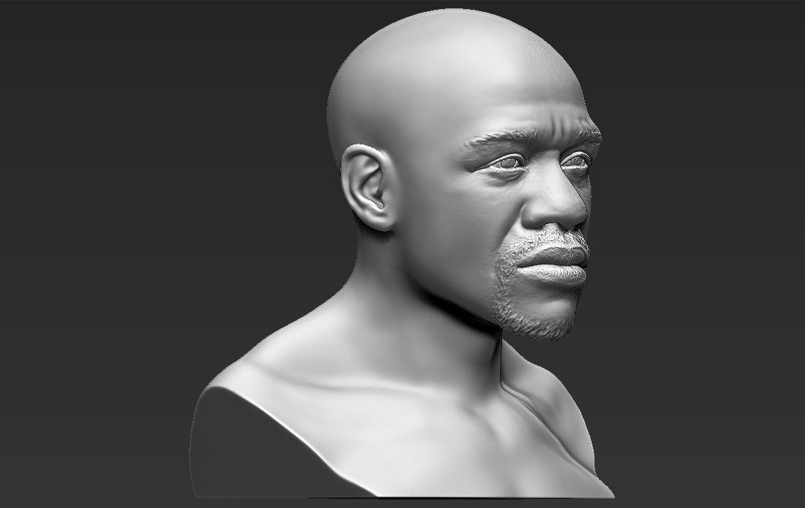 Famous Boxers busts for 3D printing 3D Model Collection_10