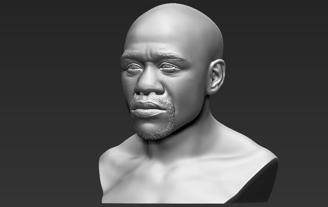 Famous Boxers busts for 3D printing 3D Model Collection_9