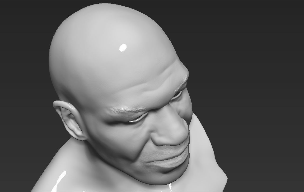 Famous Boxers busts for 3D printing 3D Model Collection_21