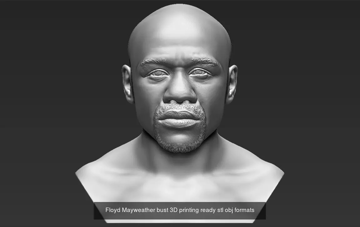 Famous Boxers busts for 3D printing 3D Model Collection_0