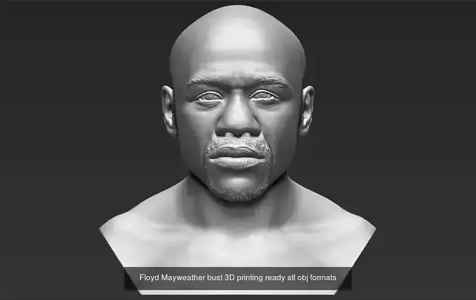 Famous Boxers busts for 3D printing  3D Model Collection