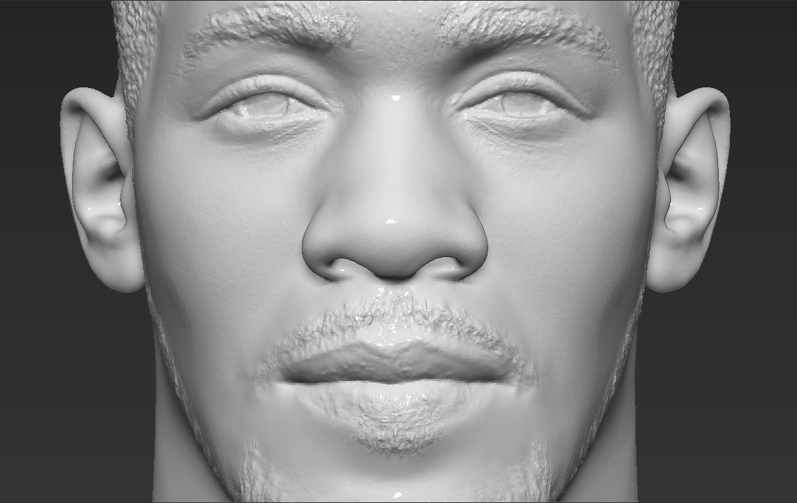 Famous Boxers busts for 3D printing 3D Model Collection_30