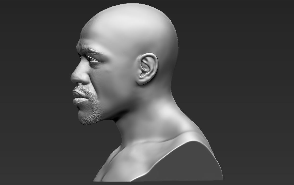 Famous Boxers busts for 3D printing 3D Model Collection_7