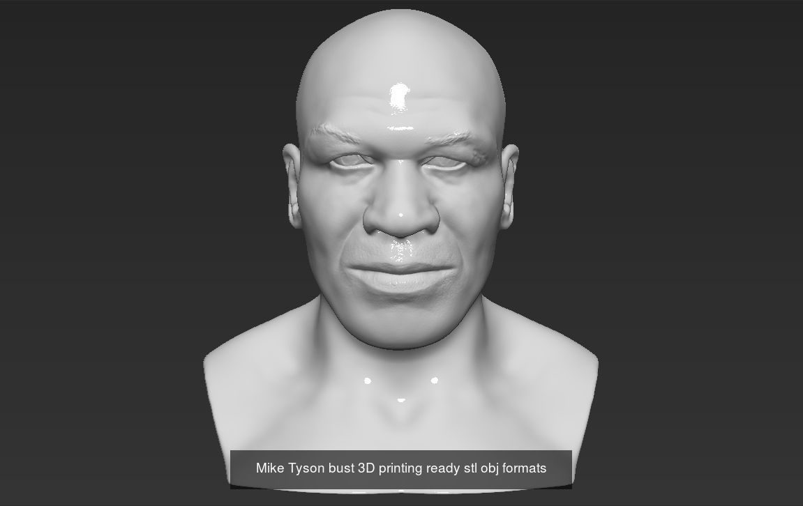 Famous Boxers busts for 3D printing 3D Model Collection_6