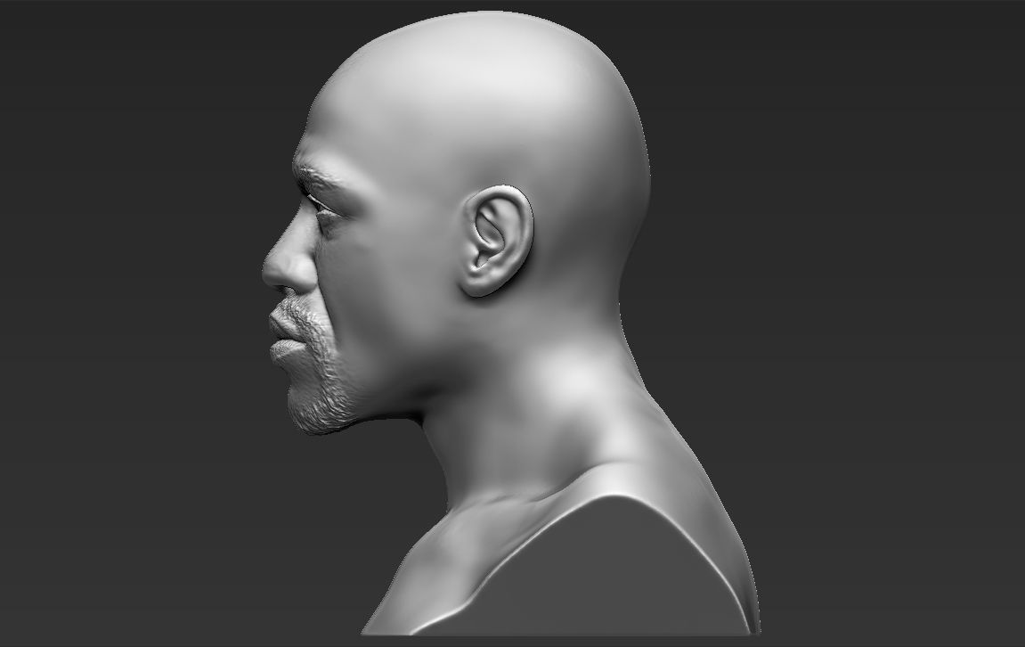 Famous Boxers busts for 3D printing 3D Model Collection_12