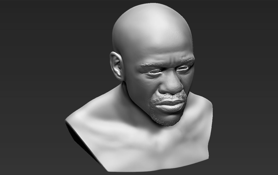 Famous Boxers busts for 3D printing 3D Model Collection_13