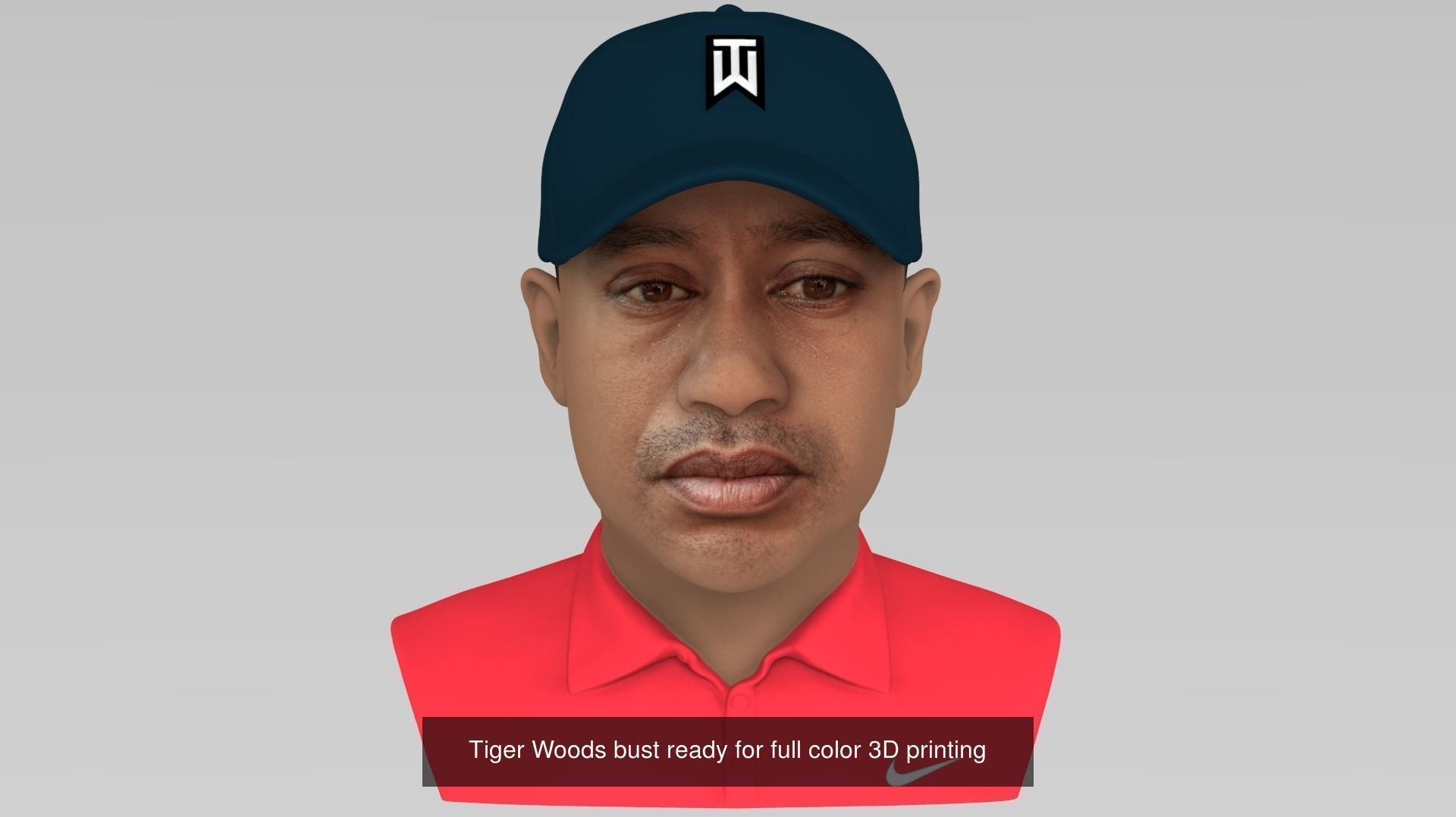 MEGA PACK 70 busts ready for full color 3D printing  3D Model Collection_134