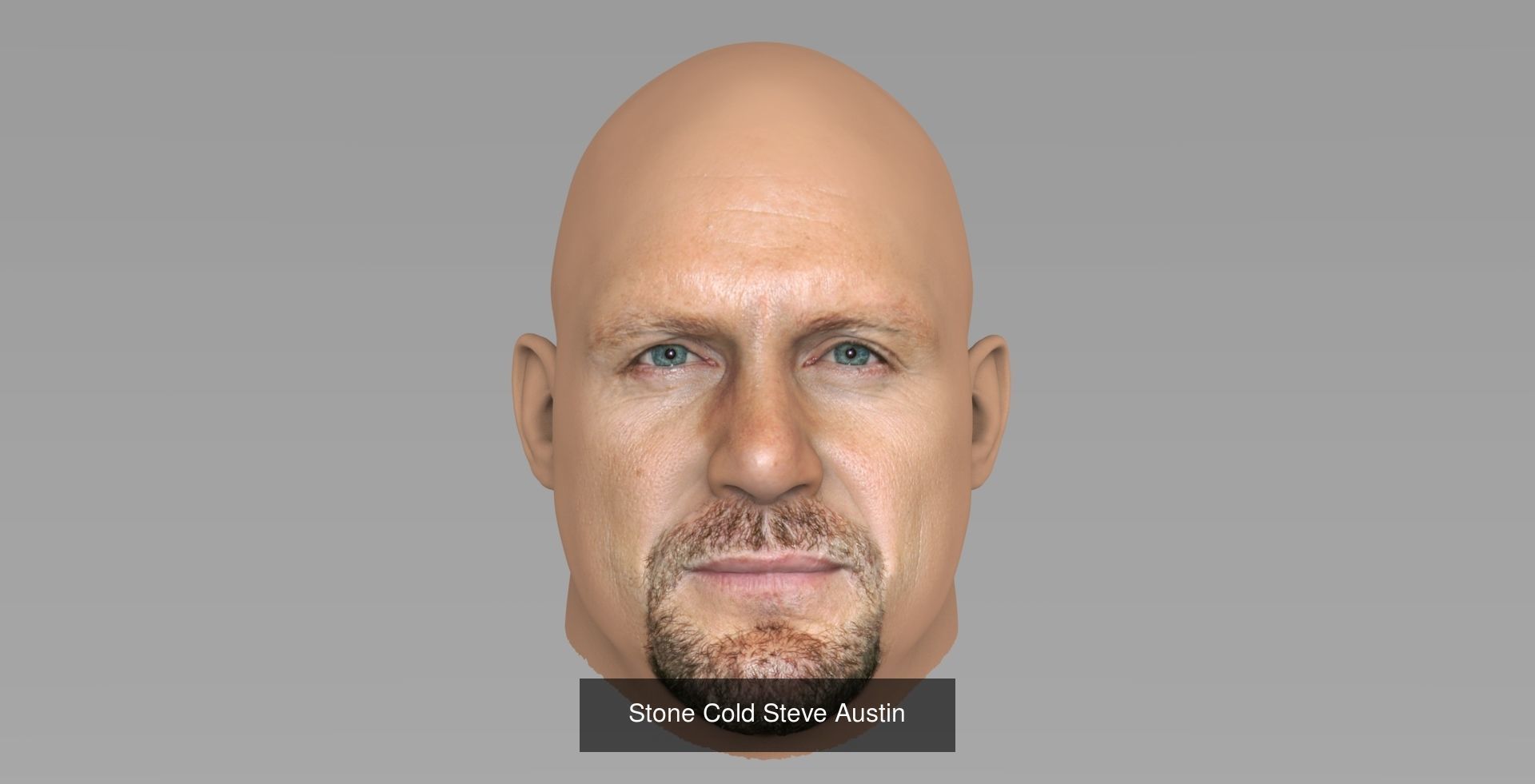 MEGA PACK 74 Famous People heads models  3D Model Collection_130