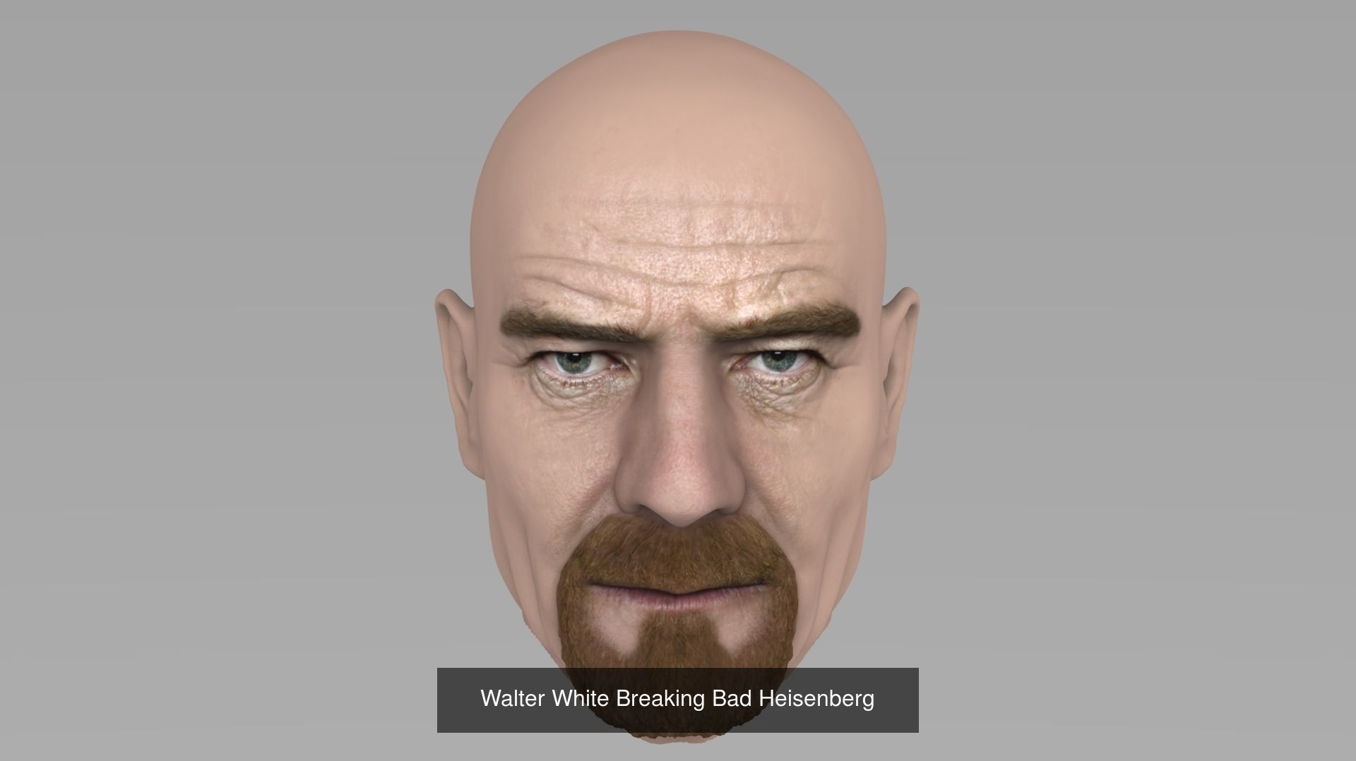 MEGA PACK 74 Famous People heads models  3D Model Collection_92