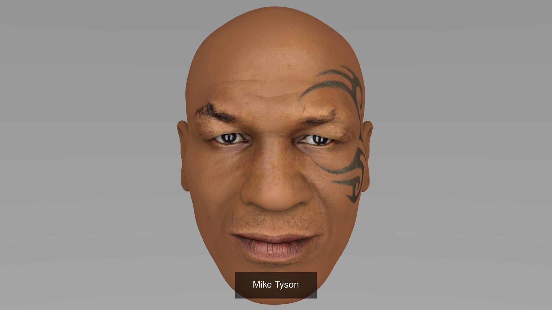 MEGA PACK 74 Famous People heads models  3D Model Collection_83