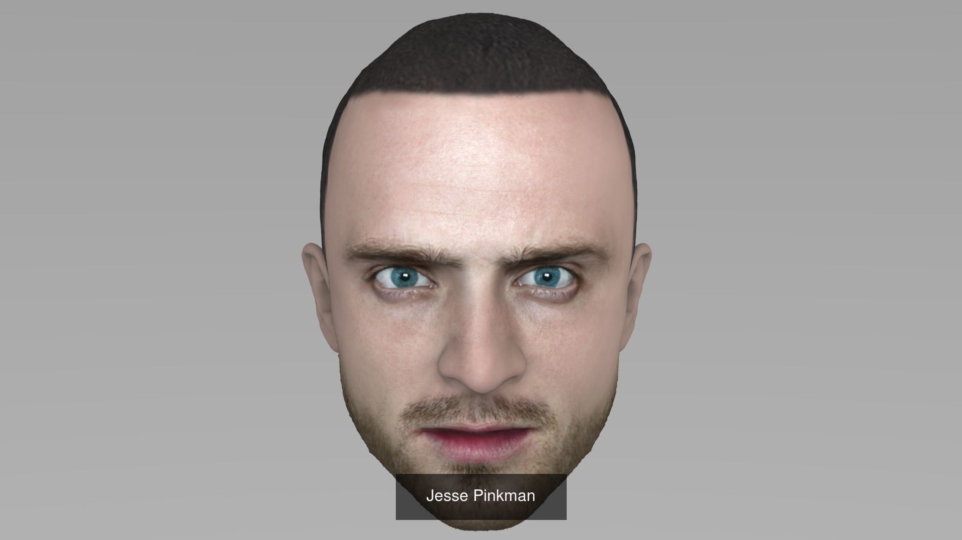 MEGA PACK 74 Famous People heads models  3D Model Collection_94