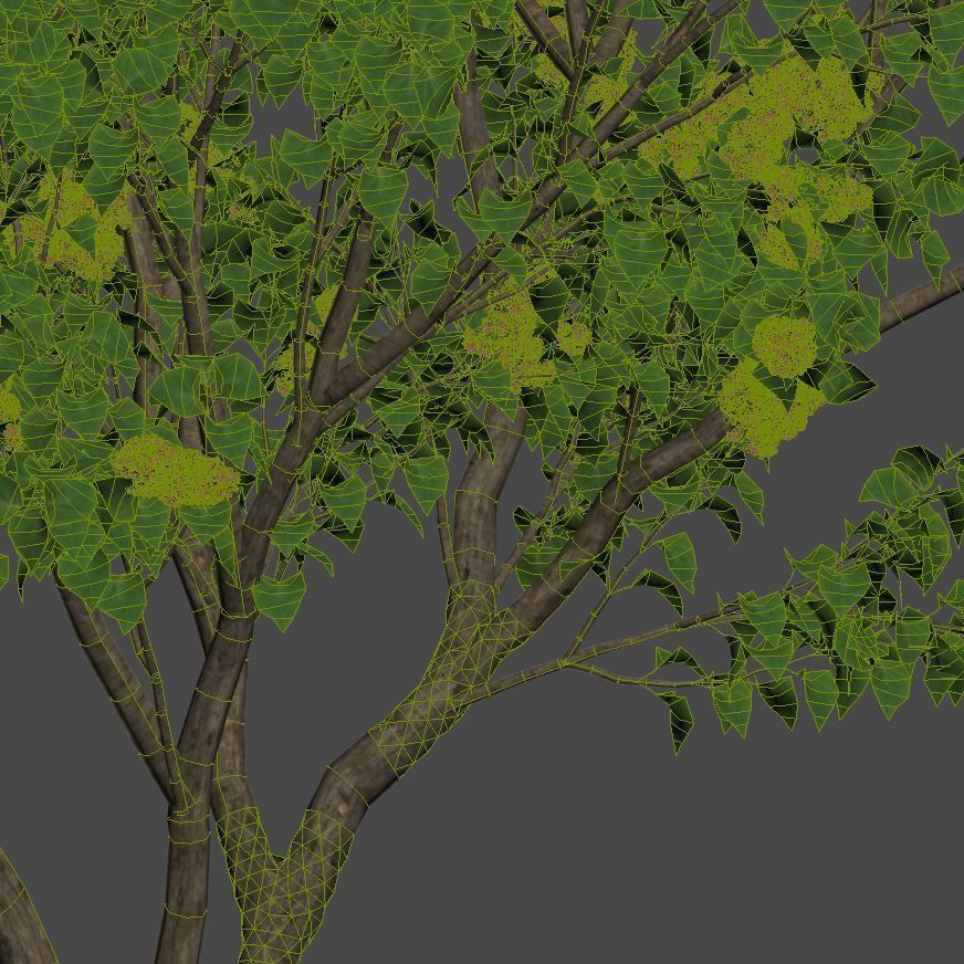 Lilac Syringa vulgaris Nr3 - Tree 3D model_3