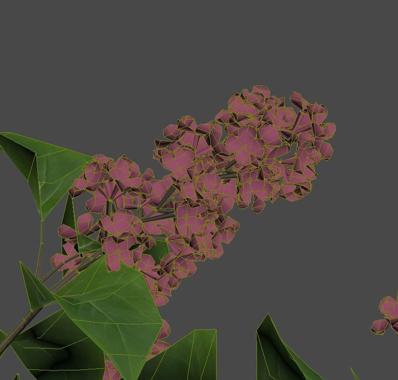 Lilac Syringa vulgaris Nr3 - Tree 3D model_4