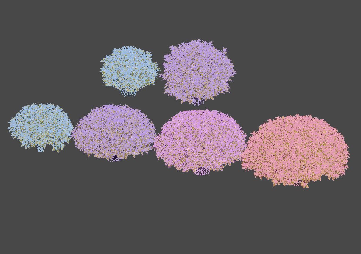 Spirea Japonica Nr4 - Gold flame spirea - Six sizes 3D model_8