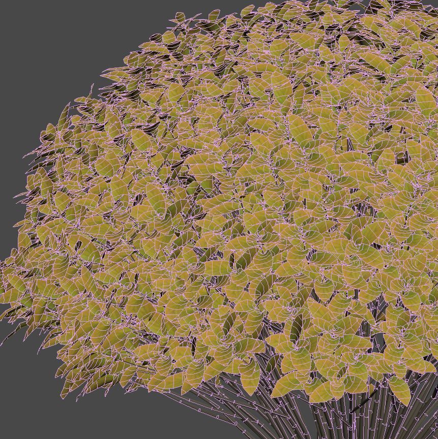 Spirea Japonica Nr4 - Gold flame spirea - Six sizes 3D model_9