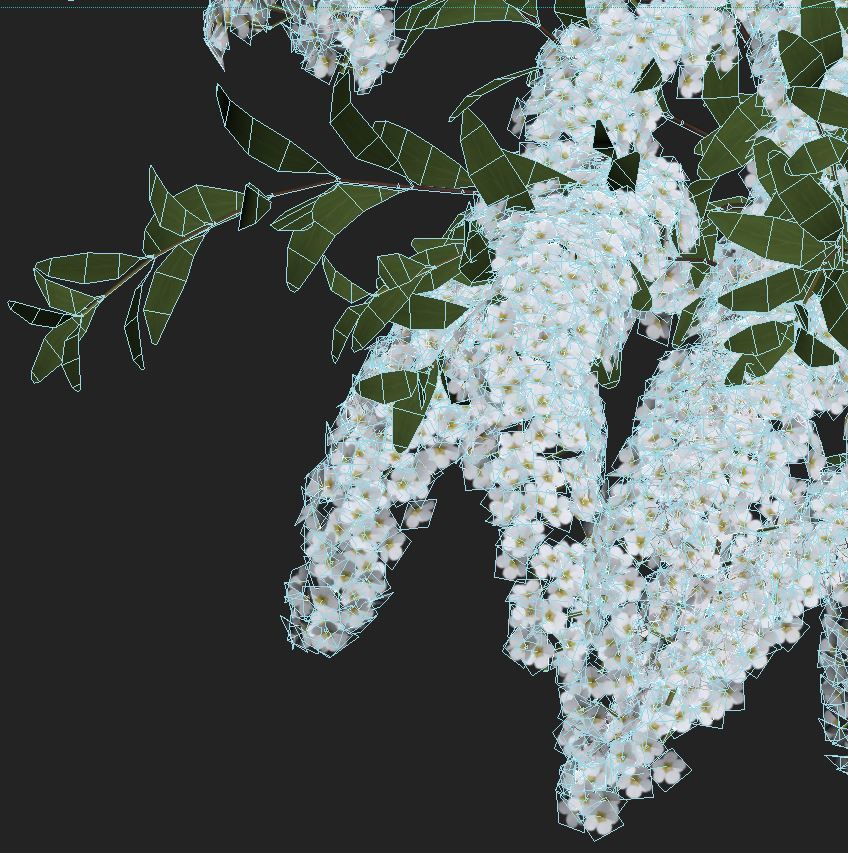 Spiraea Nr5 Spiraea X Cinerea - Grefsheim - 3 sizes 3D model_6