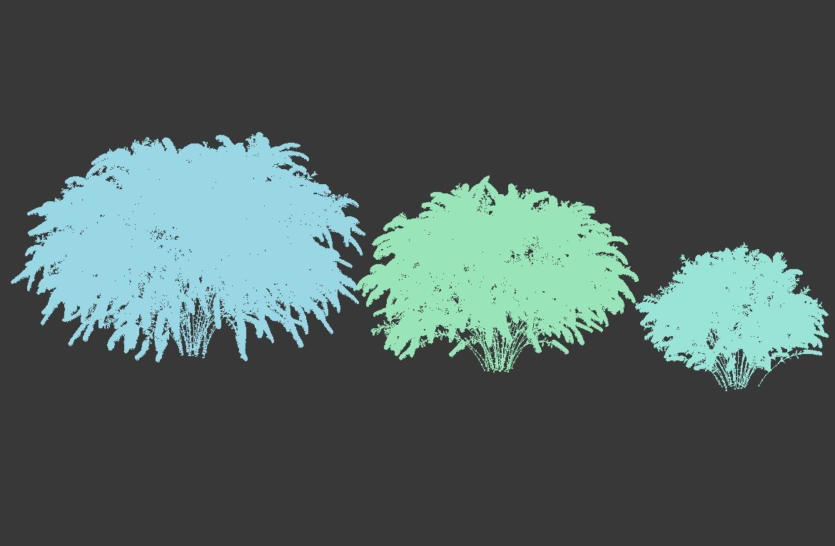 Spiraea Nr5 Spiraea X Cinerea - Grefsheim - 3 sizes 3D model_5