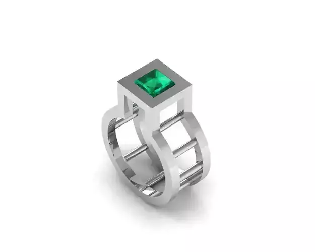 special ring geometry model