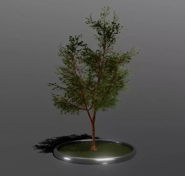 Tall Tree Low-poly 3D model