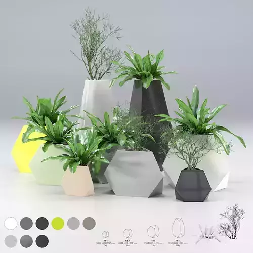 Treesquare Rockbound