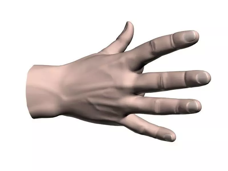 Outstretched hand 3D model_0