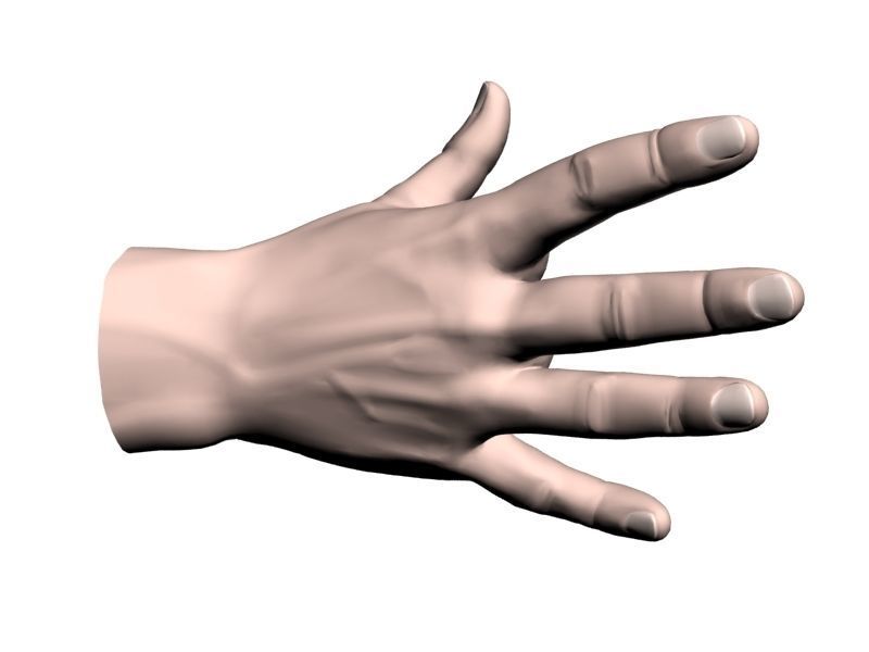 Outstretched hand 3D model_14