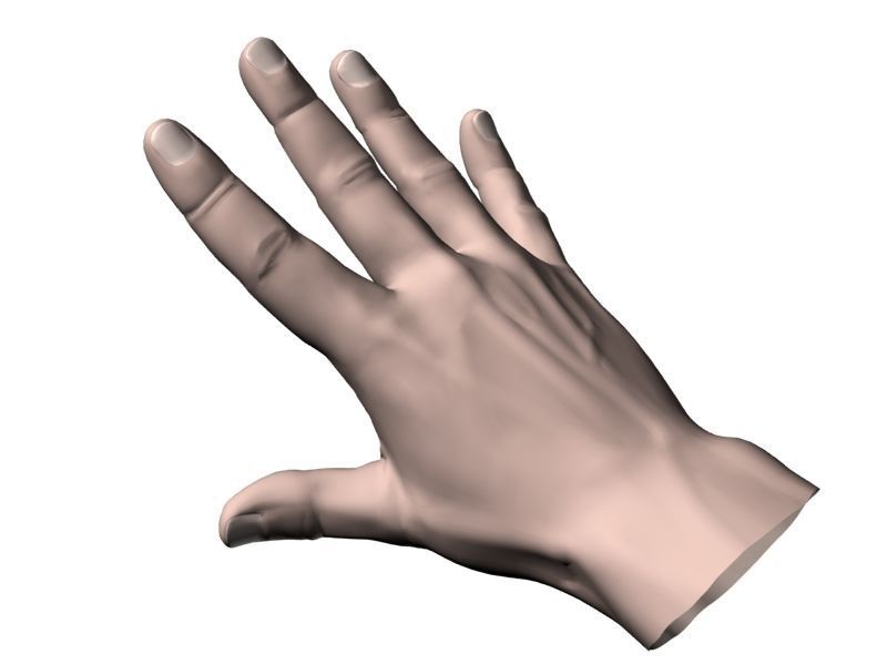 Outstretched hand 3D model_12