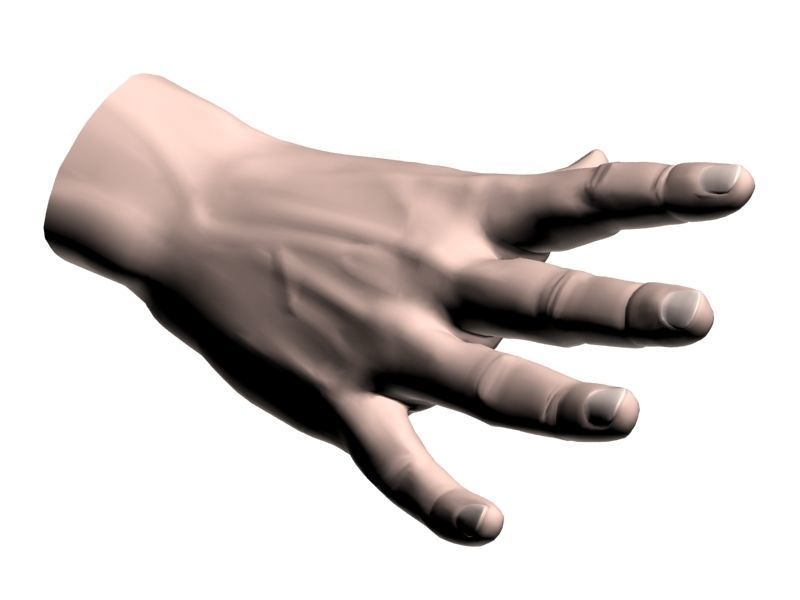 Outstretched hand 3D model_15