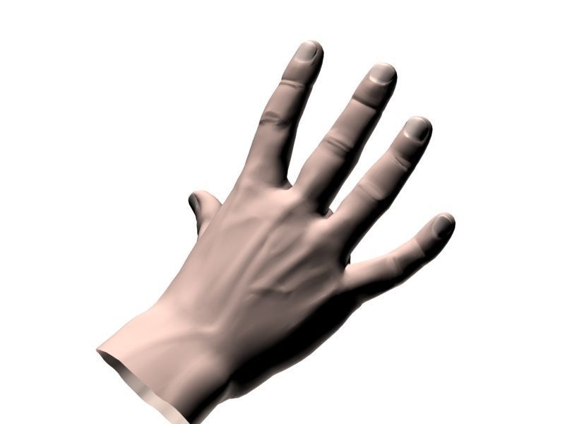Outstretched hand 3D model_13