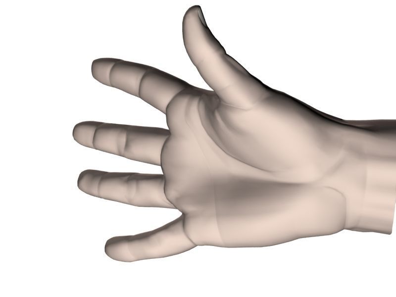 Outstretched hand 3D model_23