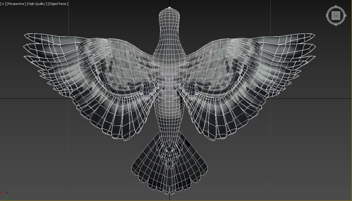 Pigeon - Medium Detail Animated  Low-poly 3D model_8