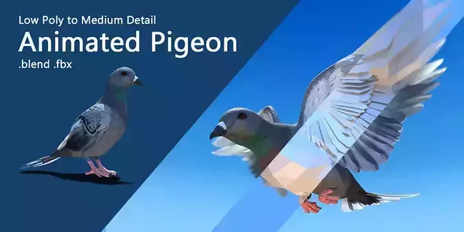 Pigeon - Medium Detail Animated  Low-poly 3D model