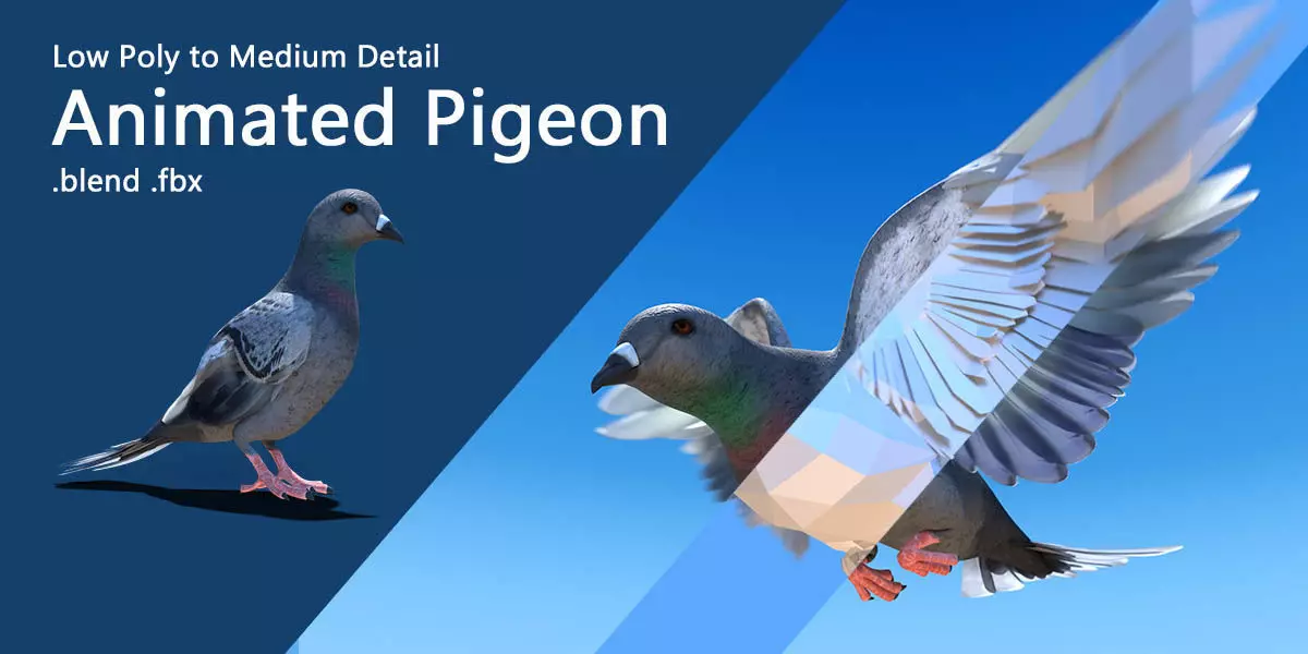 Pigeon - Medium Detail Animated  Low-poly 3D model_0