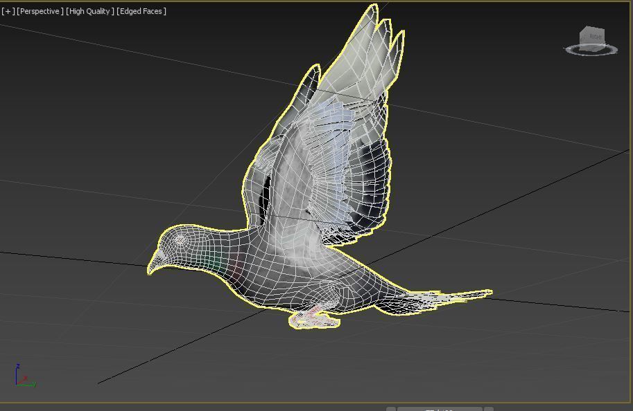 Pigeon - Medium Detail Animated  Low-poly 3D model_7