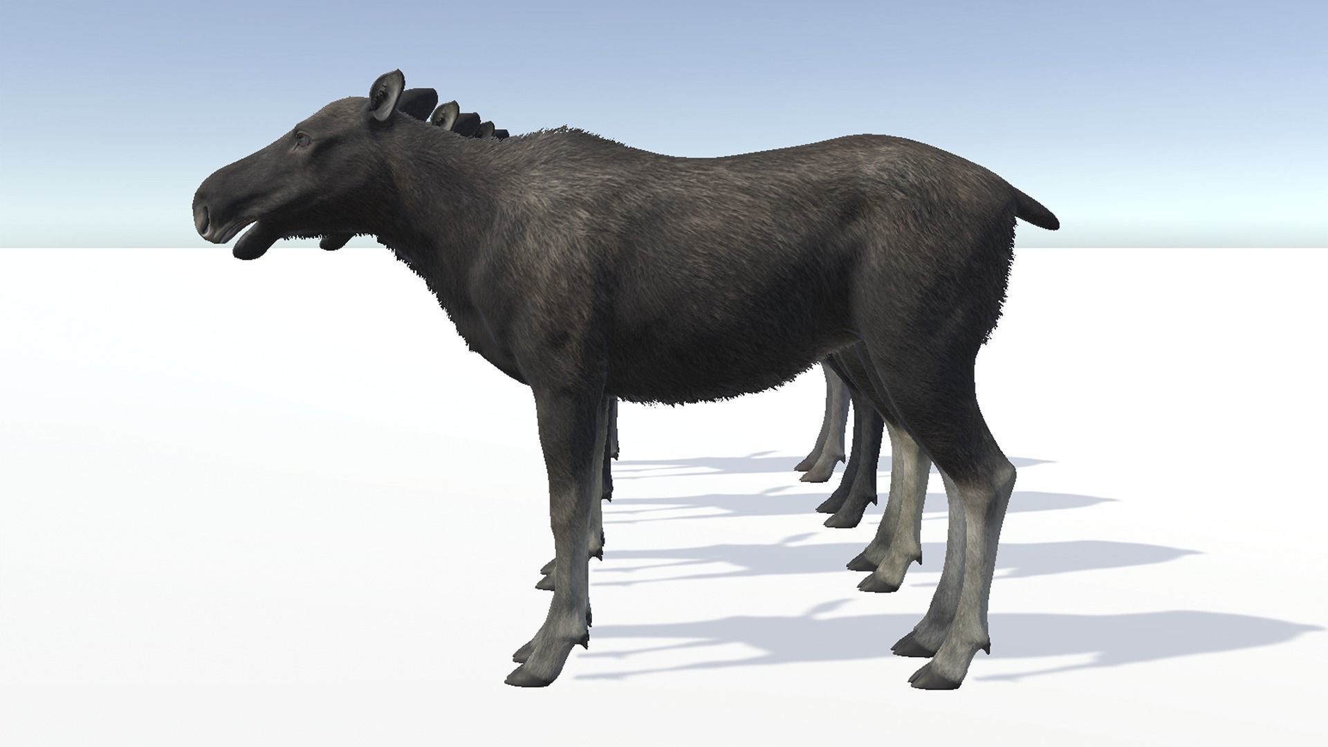 MOOSE FAMILY Low-poly 3D model_20