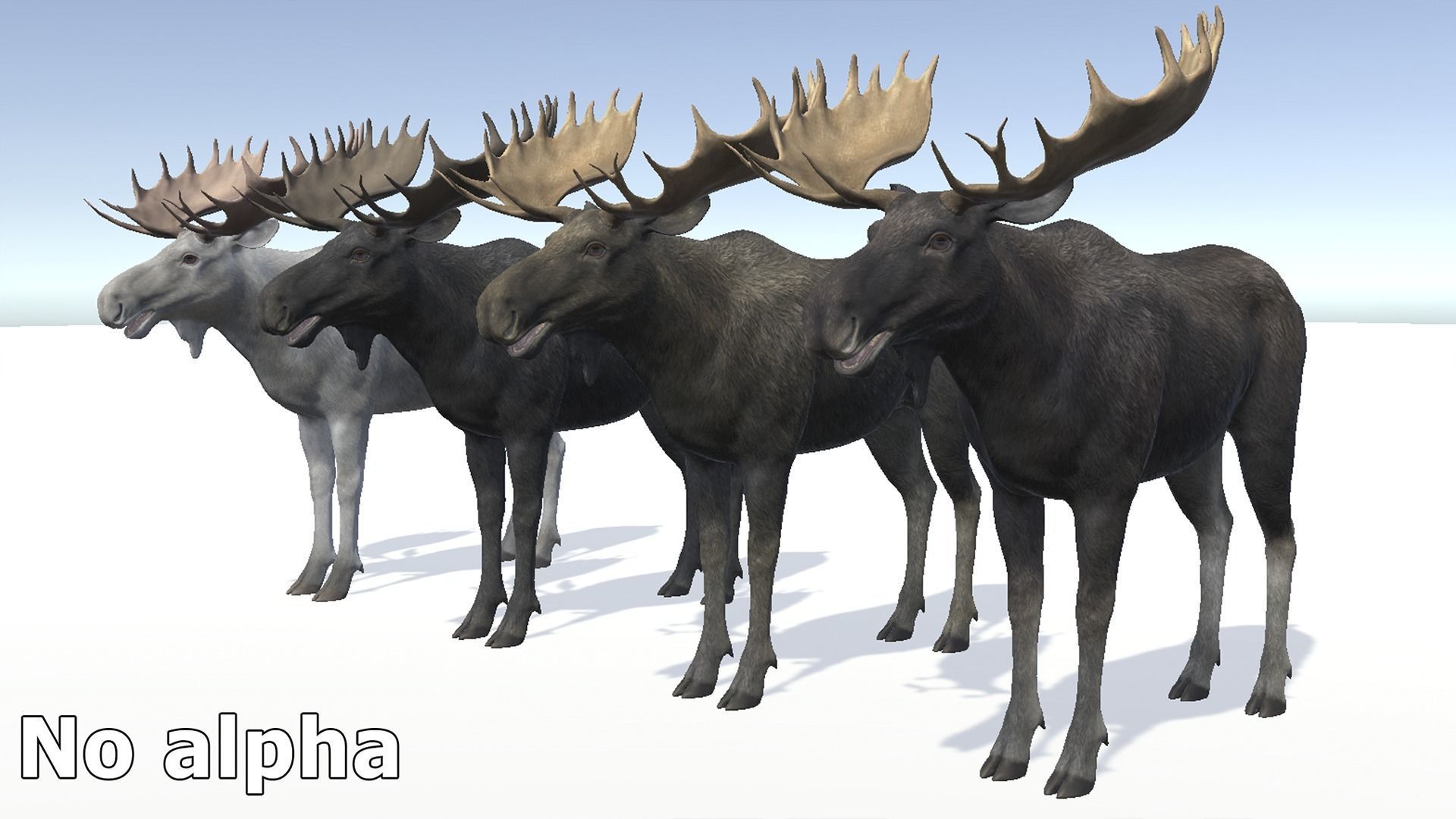 MOOSE FAMILY Low-poly 3D model_14