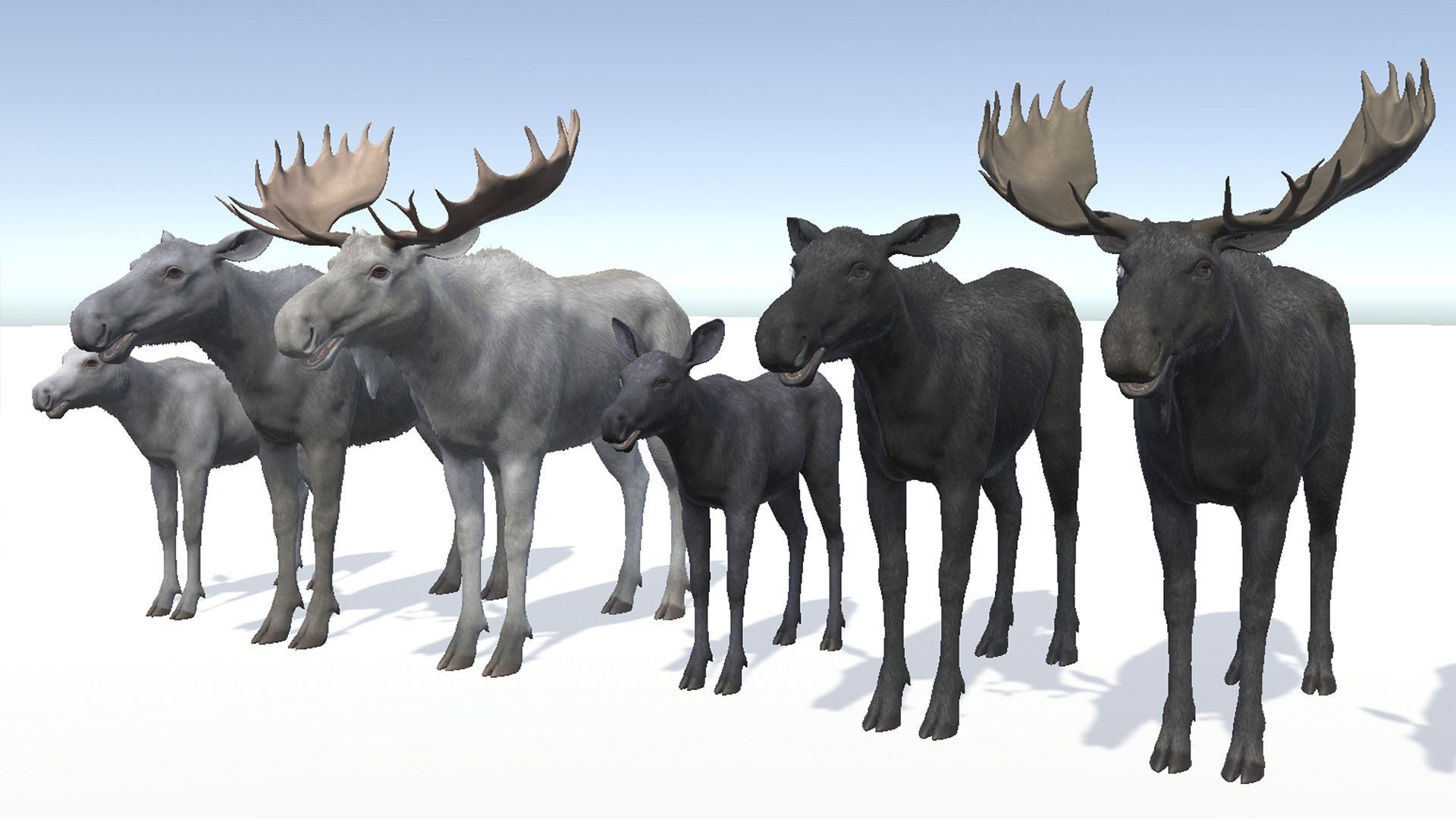 MOOSE FAMILY Low-poly 3D model_6