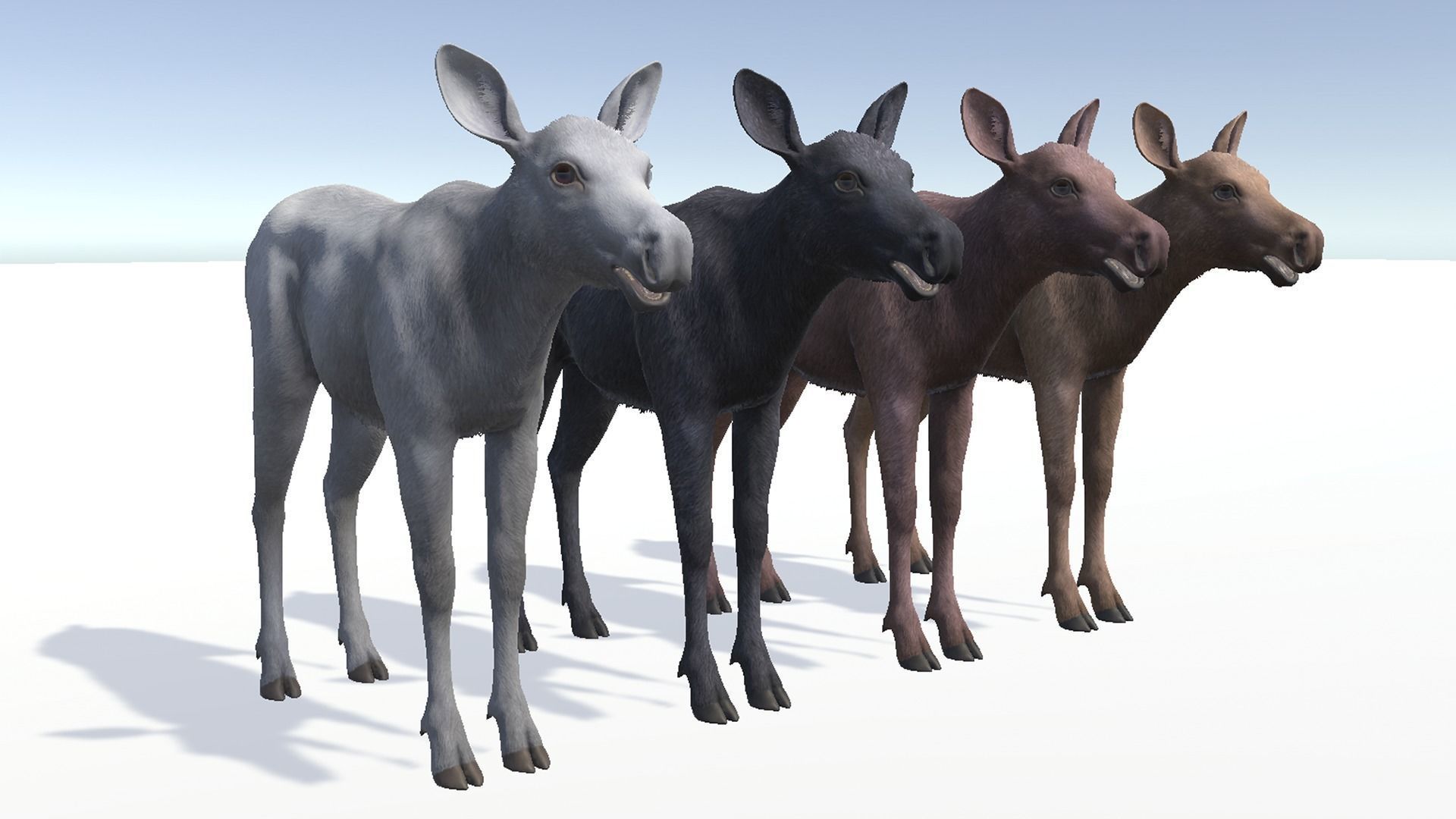 MOOSE FAMILY Low-poly 3D model_27