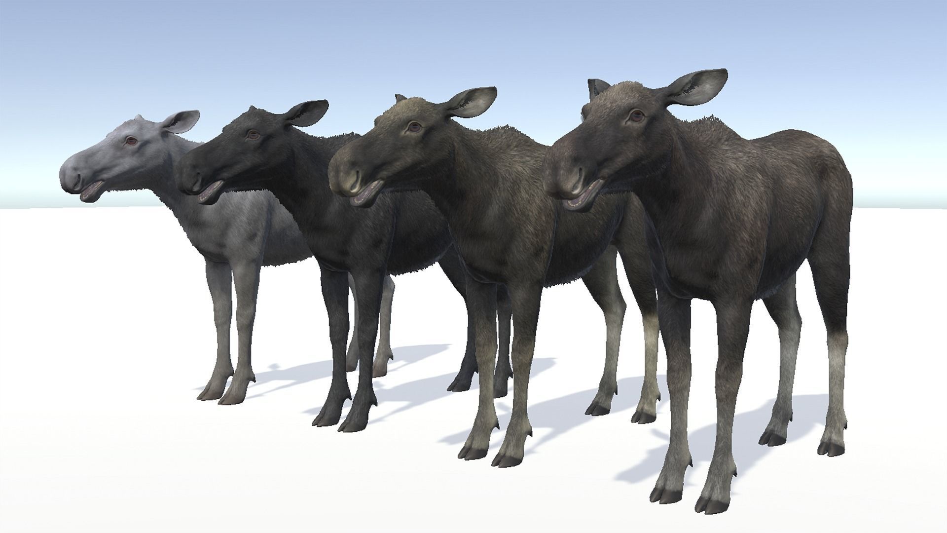 MOOSE FAMILY Low-poly 3D model_17