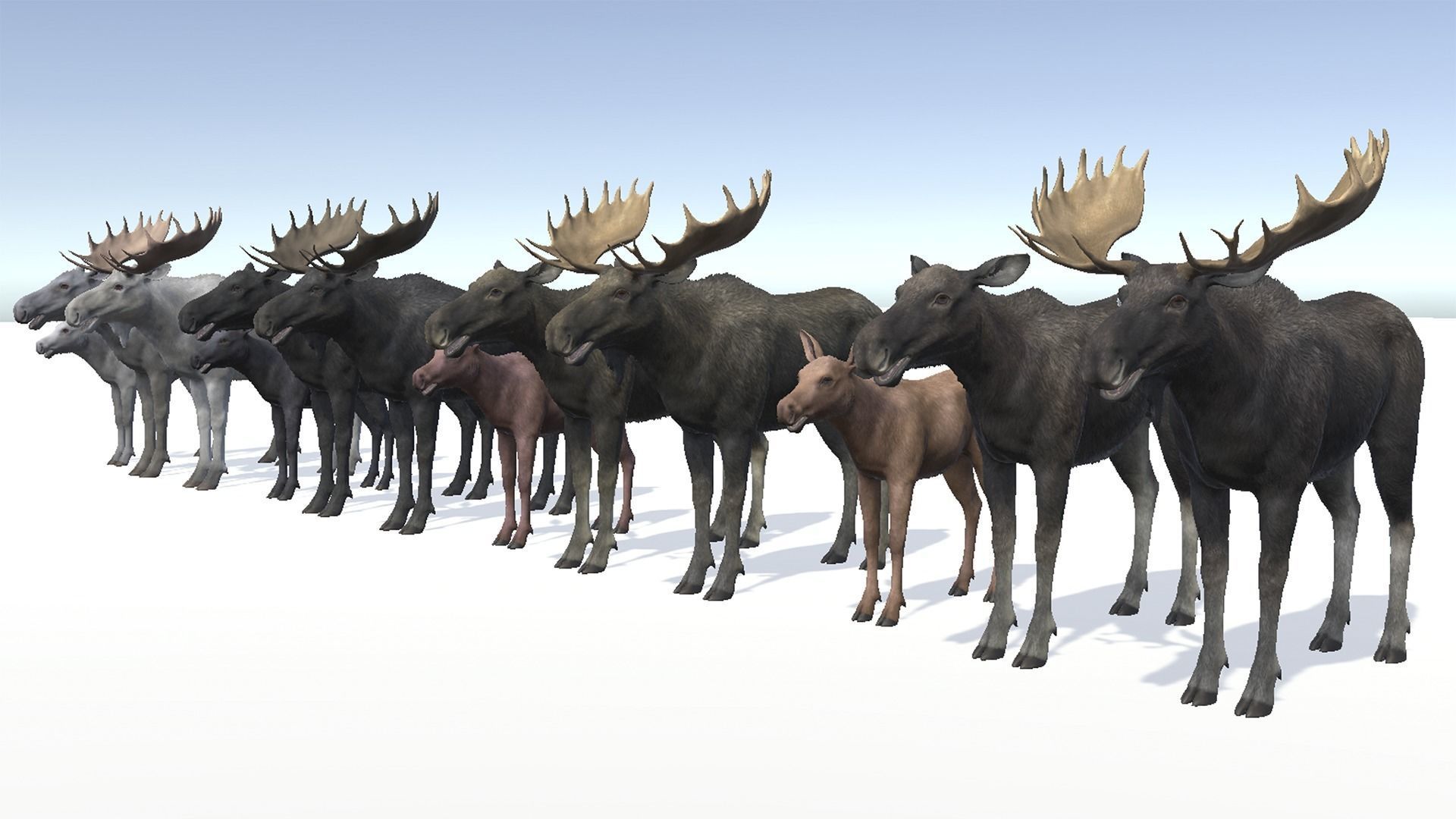 MOOSE FAMILY Low-poly 3D model_4