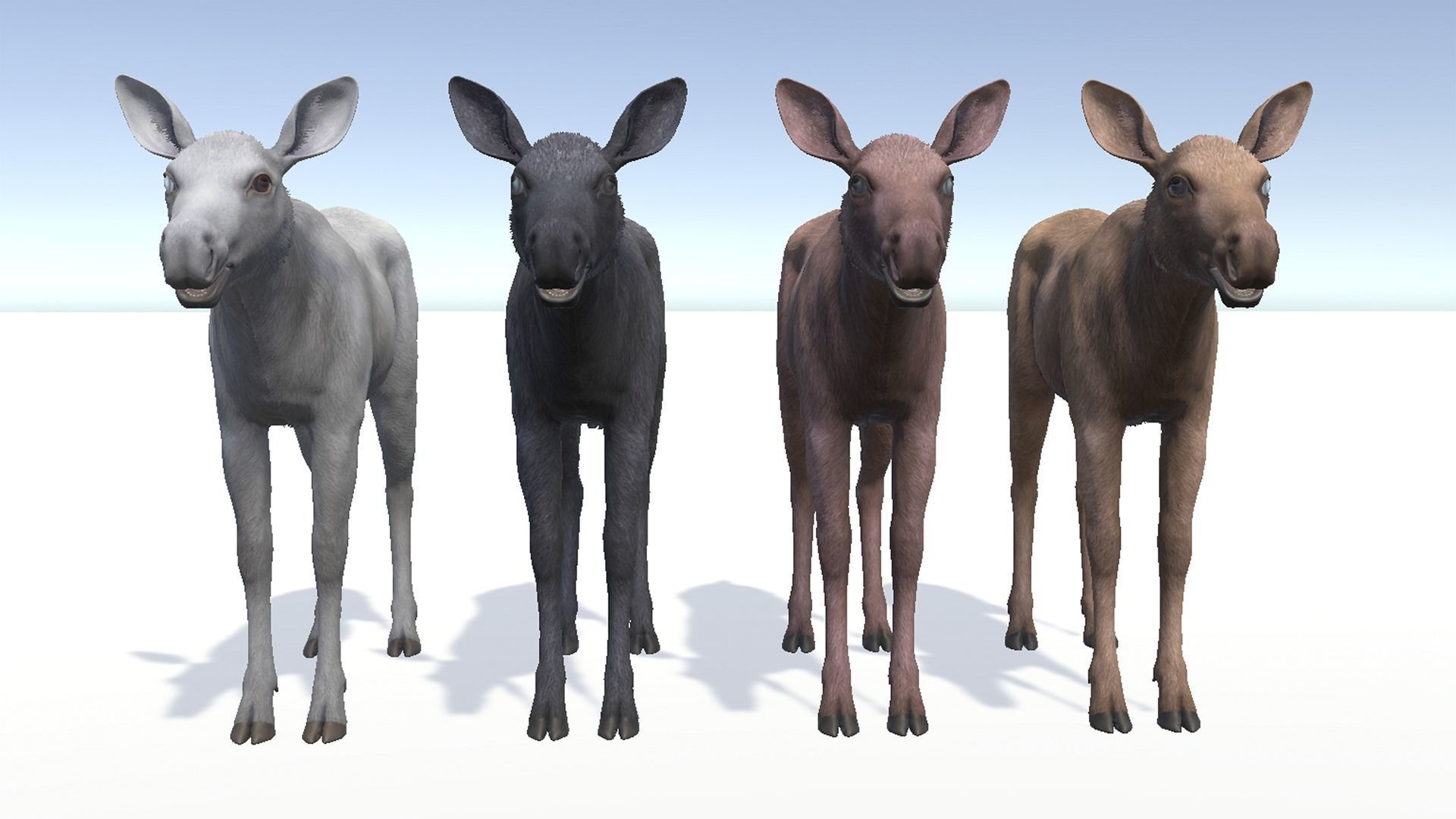 MOOSE FAMILY Low-poly 3D model_26