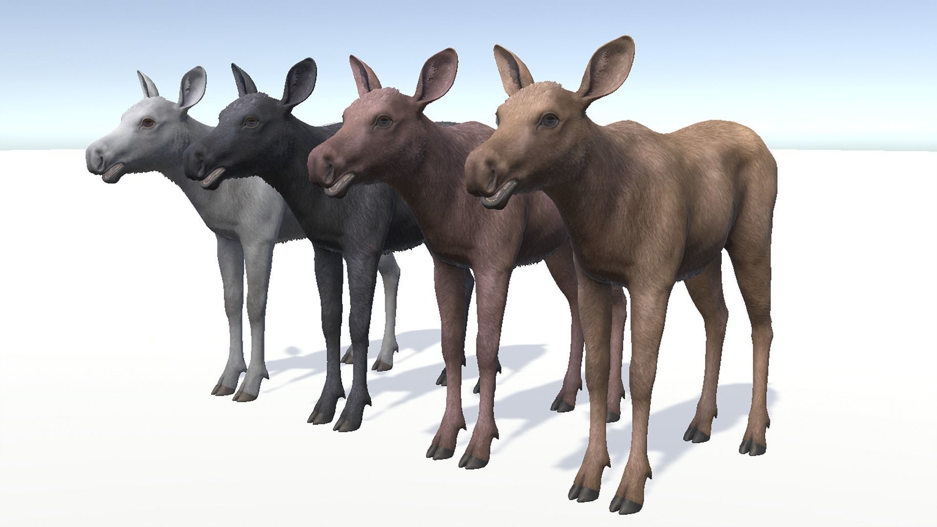 MOOSE FAMILY Low-poly 3D model_25