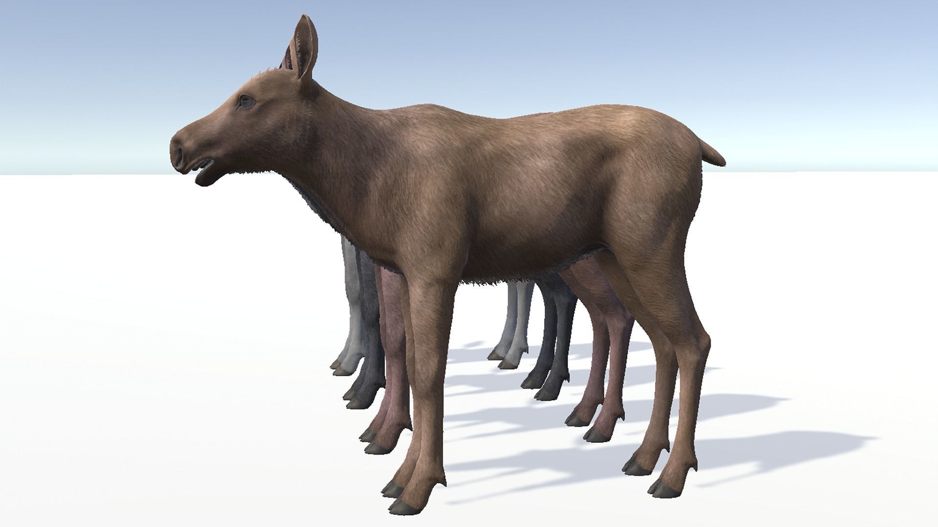 MOOSE FAMILY Low-poly 3D model_28