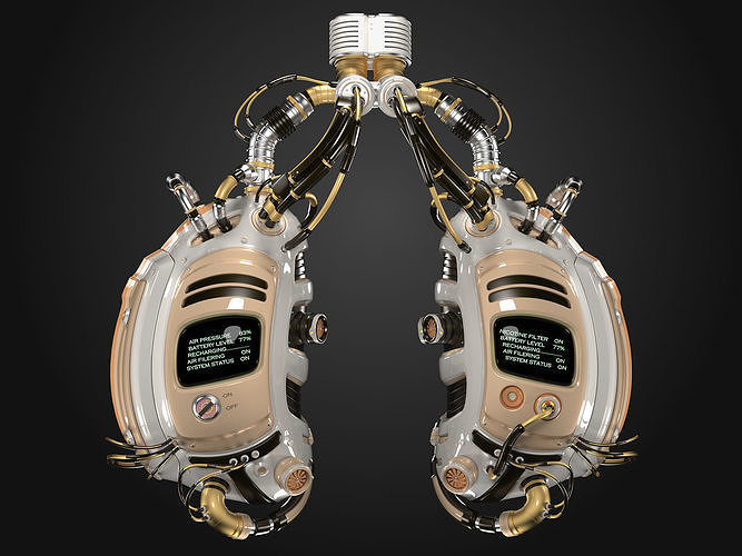ROBOTIC LUNGS 3D model